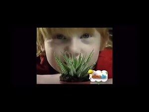 Nick Jr All Your Friends DVD Promo (Crossover)