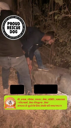 Ankit Uppal on Instagram: "#टीम को सूचना मिली की #करंस गांव के खेतों में एक कुएं के अंदर कम से कम 100 ft नीचे एक कुत्ते का बच्चा पिछले 7-8 दिन से गिरा हुआ है टीम मोके पर पहुची सीढ़ी का प्रबंध न होने की वजह से देसी तरीके से रस्सी के सहारे लटक कर नीचे जाकर बच्चे को कुएं में से सुरक्षित तरीके से निकाल कर बाहर छोड़ दिया"