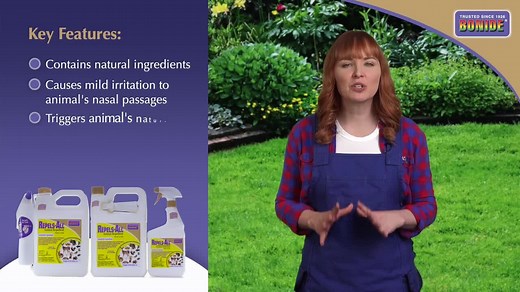 Bonide Repels-All Animal Repellent, 32 oz Ready-To-Use, Long Lasting Outdoor Garden Deer Repellent 238