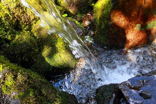 名水百選ふきだし湧水が人気! 羊蹄山の湧水スポットを巡ろう!