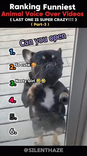 Ranking Funniest Animal's Voice Overs By Humans. #shorts