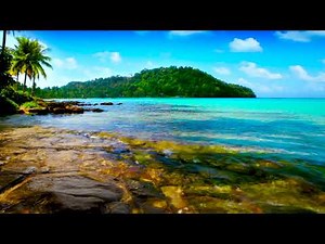 Tropical Palm Trees Beach Waves on Rocks. Ocean Waves, Nature Sounds, Ocean White Noise for Sleeping