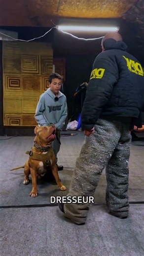 Military Dog Shows Off Its Skills 🤯