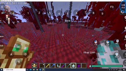 Phayriosis方块制裁修仙大佬