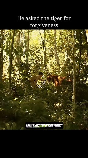 📽️ :Two Brothers 2004 ‧ Adventure/Action Overview Twin tiger cubs Kumal and Sangha are torn apart when their father is killed by hunter Aidan McRory (Guy Pearce). Kumal finds himself in a circus, where his spirits are broken by an abusive trainer (Vincent Scarito), while Sangha is adopted by a politician's son (Freddie Highmore) and cast aside when he attacks the family dog. The brothers struggle to survive in a world where tigers are enslaved or killed for sport, and when they inevitably meet 