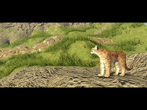 Yellowstone Unleashed | Cougar Cub
