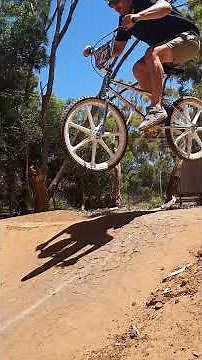 Monza 24" Retro BMX with Skyway Tuffs