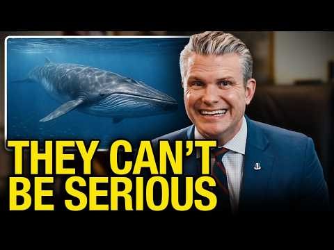 Hegseth Wants To Kill Endangered Whales To Fight Rising Gas Prices