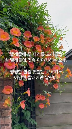 김춘선의 북 콘서트 | 빨래 / 윤동주 l 오늘 하루 수고한 당신에게 바치는 윤동주의 시 #책읽어주는작가 #윤동주 #빨래 #7월의햇발 #이소라 #보컬리스트 #바람이분다