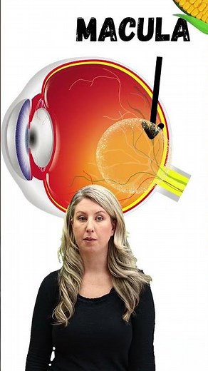 BEST Food for Eyes [Lutein and Zeaxanthin]