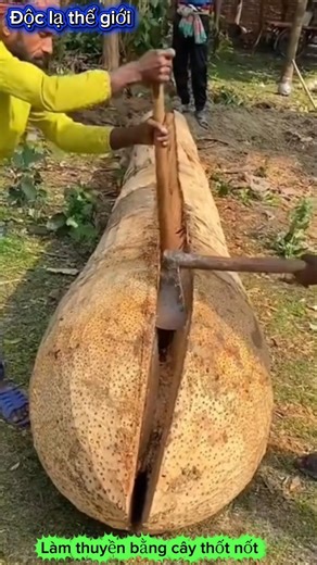 Making boats from palm trees