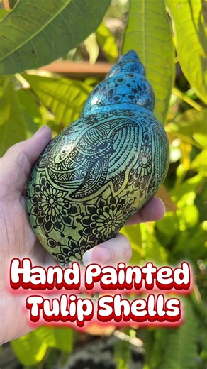 Hand Painted Tulip Shells by Florida Artist