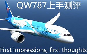 【中英双字】真飞的QW787上手测评「年度最受关注FSX机模」