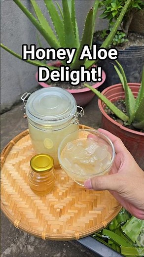 Aloe Vera Never Tasted This Good! 🍯