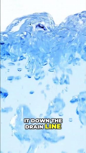 Will Boiling Water Get Rid of Drain Flies? #drainagesolutions