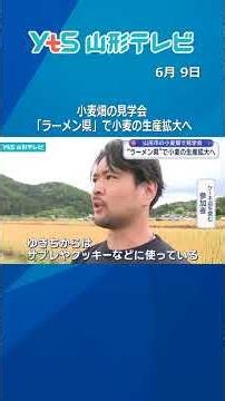 山形市の小麦畑で見学会 ”ラーメン県”で小麦の生産拡大へ