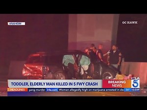 Toddler, elderly man killed in 5 Freeway crash