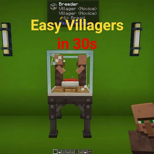 Easy Villagers in 30 Seconds