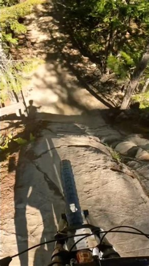 Big Whistler features#mtb #shorts