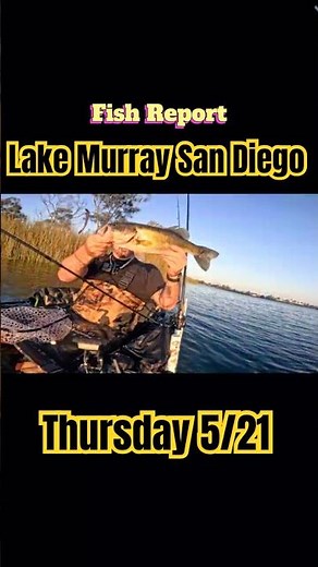 How’s the fishing in San Diego??5/21 report for Lake Murray in San Diego #fishing #fishreport #bass
