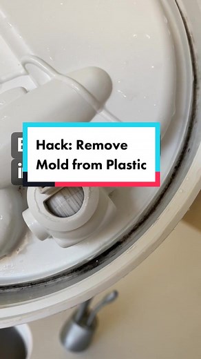 Mold no more! #hacks #stepbystep #cleantok #lifehacks #momlifebelike #...
