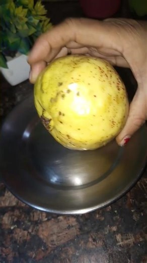 Guava tip #facts #amazingfacts #guava #ytviral #ayurved #cooking #yt #recipe #remidial #cookingfood