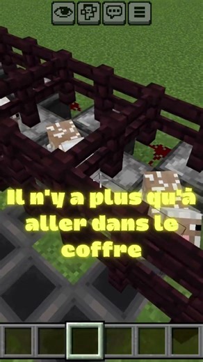 😱 Arrête tout ! Ta ferme à moutons est INUTILE… Fais plutôt ÇA ! 🐑💥