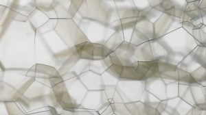 Rotating beautiful lattice structure