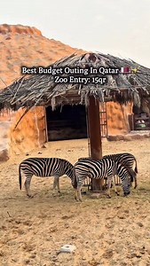 Best budget outings in Qatar 🇶🇦✨ Al Khor Zoo & Park offers a fun-filled day for families without breaking the bank🦁🌳 Perfect for kids, picnics & peaceful walks all for just 15 QAR entry! 📍 Al Shamal Road, Al Khor ⏰ 10am–11pm | Friday from 2pm 💰 Adults: 15 QAR | Kids: 10 QAR Save/share this reel with friends/family in Qatar & follow @qatar.list for more updates !! [kids vacation, kids activities, kids fun, Qatar outings, Qatar activities, budget friendly , Al Khor Zoo ] #alkhorzoo #alkhor #