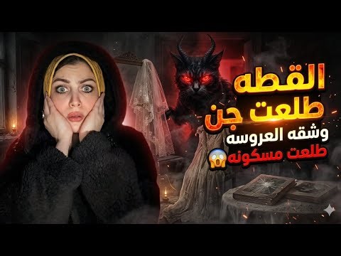The cat turned out to be a jinn!! And the bride's apartment turned out to be haunted 😱