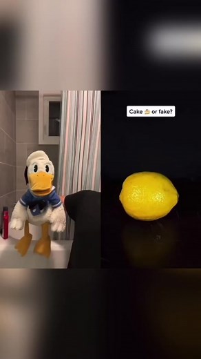 LOOK AT HOW MANY I GOT RIGHT! 🦆🥳