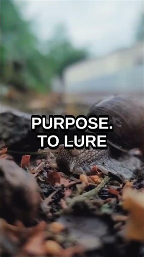 The Flower That Smells Like Human Death