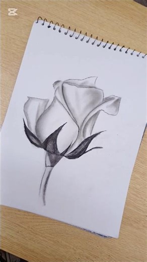 Realistic Rose Drawing 🌹 | Pencil Sketch Step by Step | Easy Art Tutorial #sketch