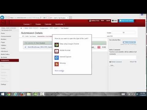 How to View SWF Files in Chrome, Explorer, and Firefox