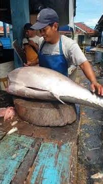 MONSTER TUNA CUTTING🔪🐟🔥 #BigFish #Tuna #ChefLive
