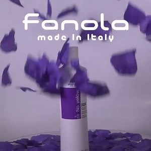 3 comments | FANOLA ka lindur në vitin 2004 nga një intuitë e një...