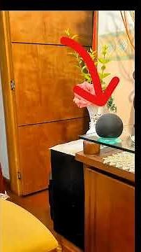 How to make calls with Alexa #alexa #echo #show #amazon #tricks #technology #calls #routines