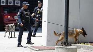 Foot pursuits: Strategies and tactics for winning