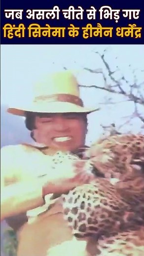 जब असली चीते से भिड़ गए थे एक्शन के बॉस धर्मेंद्र #dharmendra #actionmovies #bollywood