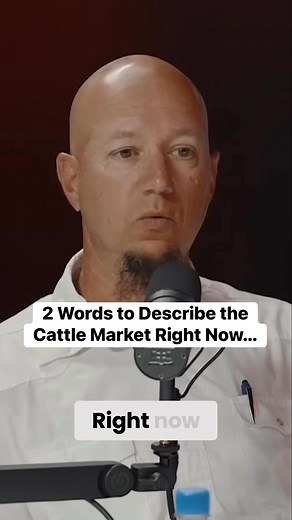 803 reactions · 67 shares | Check out the full episode with Doug on YouTube Apple and Spotify. #thewealthycowboyshow #cattle #cow #cattlemarket | Crockett Carothers | Facebook