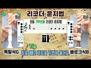초등학교 3학년용 리코더 운지법