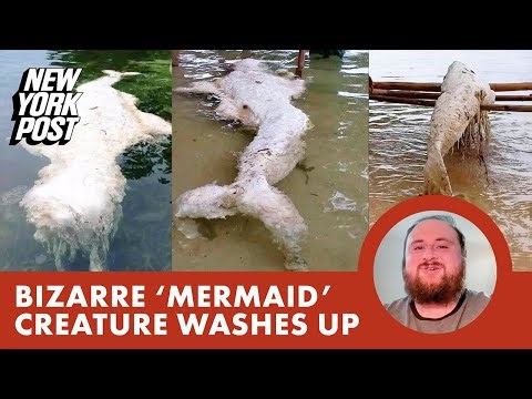 Bizarre ‘mermaid’ creature washes ashore in Papua New Guinea — experts baffled