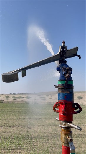 Sprinkler irrigation system for desert crop #sprinklersystem #irrigation #agriculture #shorts