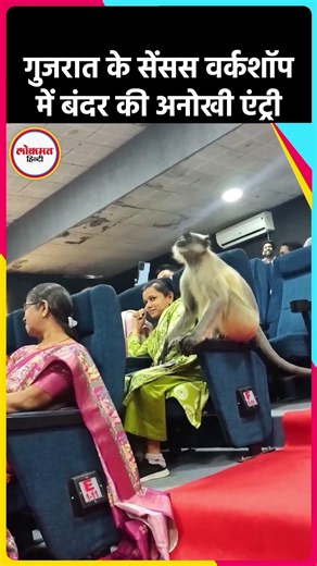 गुजरात के Census Workshop में बंदर की एंट्री, महिलाओं के बीच बैठकर लिया ट्रेनिंग का मजा!