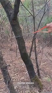 Faster Workers That Are On Another Level 2020 | Brian J. White