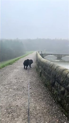 @erniethebern: Well that could have been bad. Sheer 12 foot drop into a reservoir on the other side.