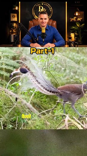🐦🎤 part-1: bird that mimics your sound 😱🔥 amazing nature fact #facts