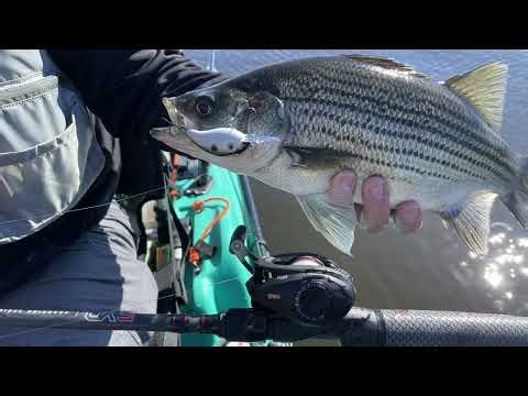 South Florida's Amazing Exotic Fish & Unique Kayak Fishing Destinations