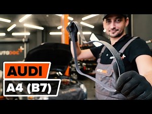 Cómo cambiar los correa poli v en AUDI A4 (B7) [VÍDEO TUTORIAL DE AUTODOC]
