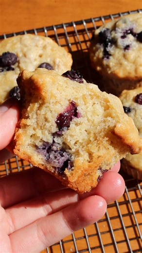⬇️ Recipe below! 🫐 Blueberry Oatmeal Sour Cream Muffins are soft and fluffy muffins! They have sweet juicy blueberries in every bite 😍 Recipe here - https://taffeybakery.com/blueberry-oatmeal-sour-cream-muffins/ or comment the word recipe to get it sent directly to your inbox! | Taffey Bakery